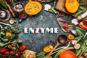 cong-nghe-enzyme-va-ung-dung