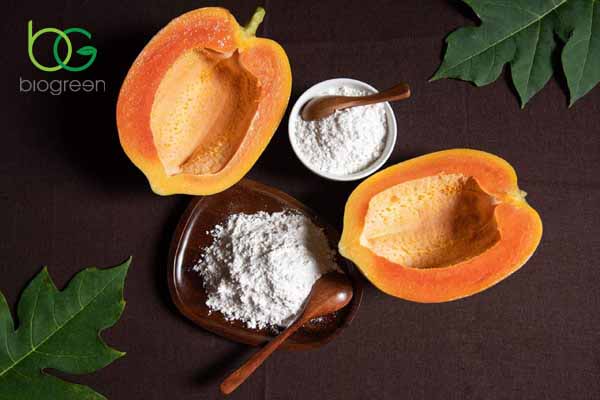 Sản xuất và chiết xuất Papain