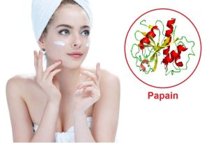 Cách làm đẹp từ Papain thế nào?