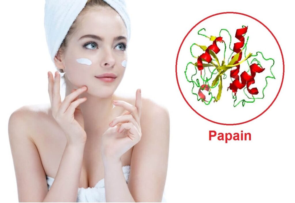 Cách làm đẹp từ Papain thế nào?