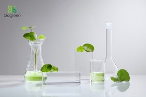 Vẻ đẹp bền vững tự nhiên từ chiết xuất dược liệu